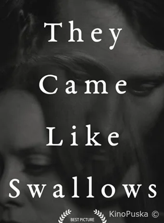 постер к смотреть бесплатно Возвращение ласточек / They Came Like Swallows 2020